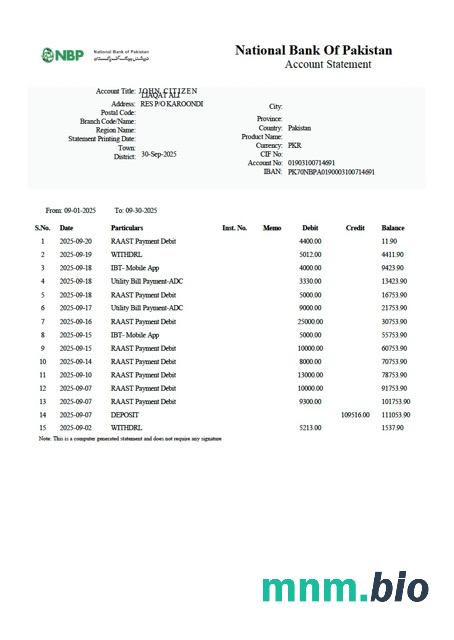 Pakistan Narodowy Bank Pakistanu wyciąg z konta Word i szablon PDF, Wersja 2